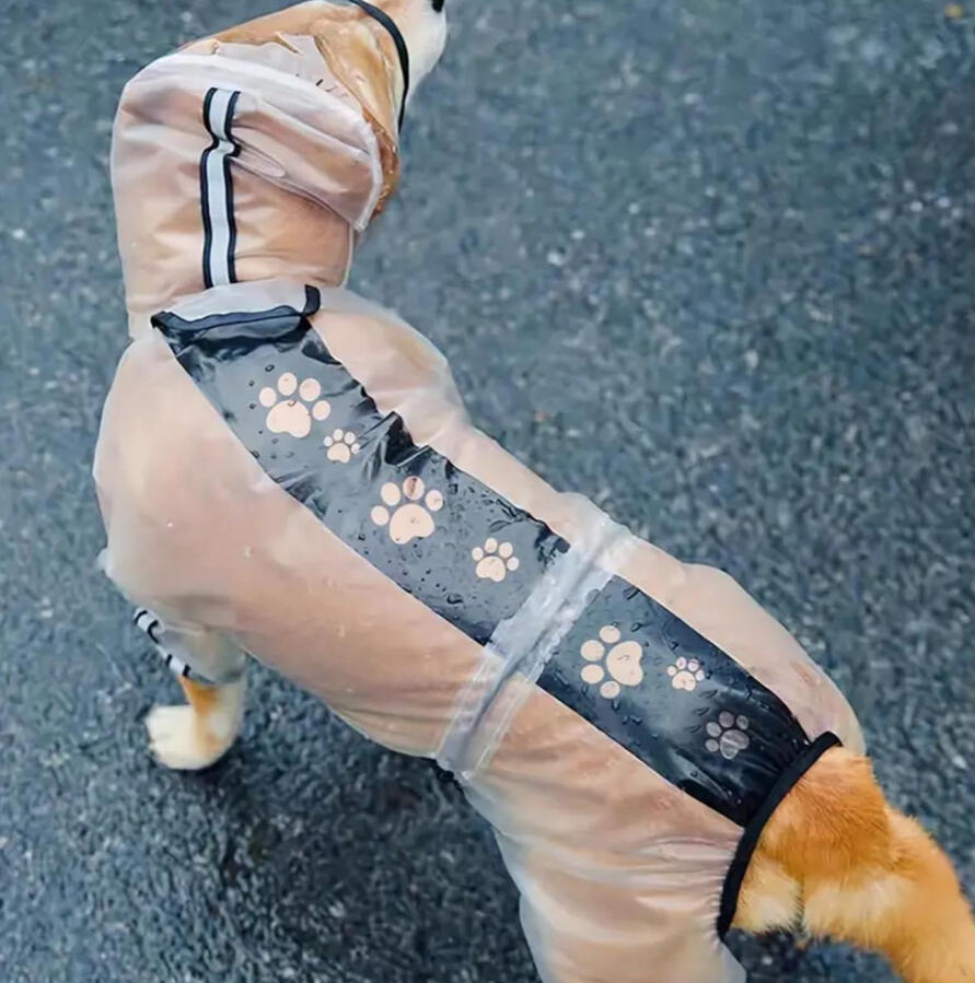 Walterproof dog raincoat