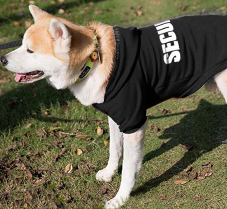 Dog hoodie