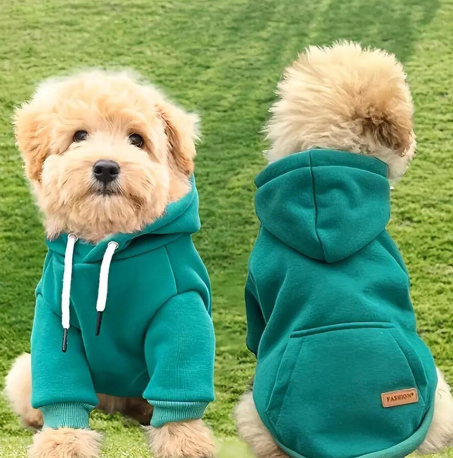 Dog Hoodie