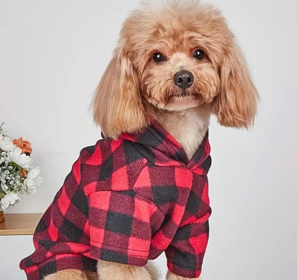 Dog Jacket Coat with Hood